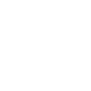 Meyer accion