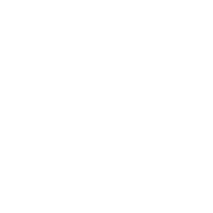 PS 21